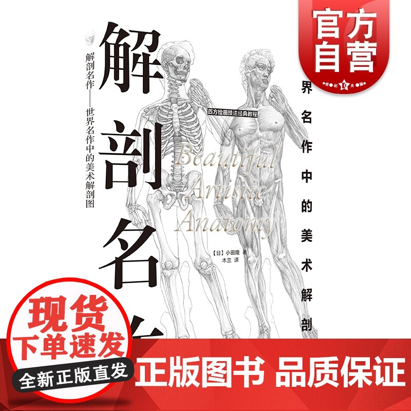 解剖 名作世界名作中的美术解剖图 西方绘画技法经典教程 配视频 人体解剖技法分步基础教学 上海书画出版社