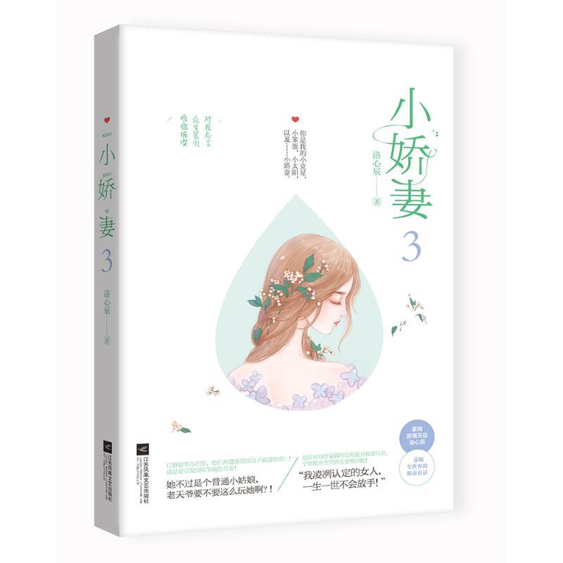 小娇妻3 洛心辰 著 文学 文轩网
