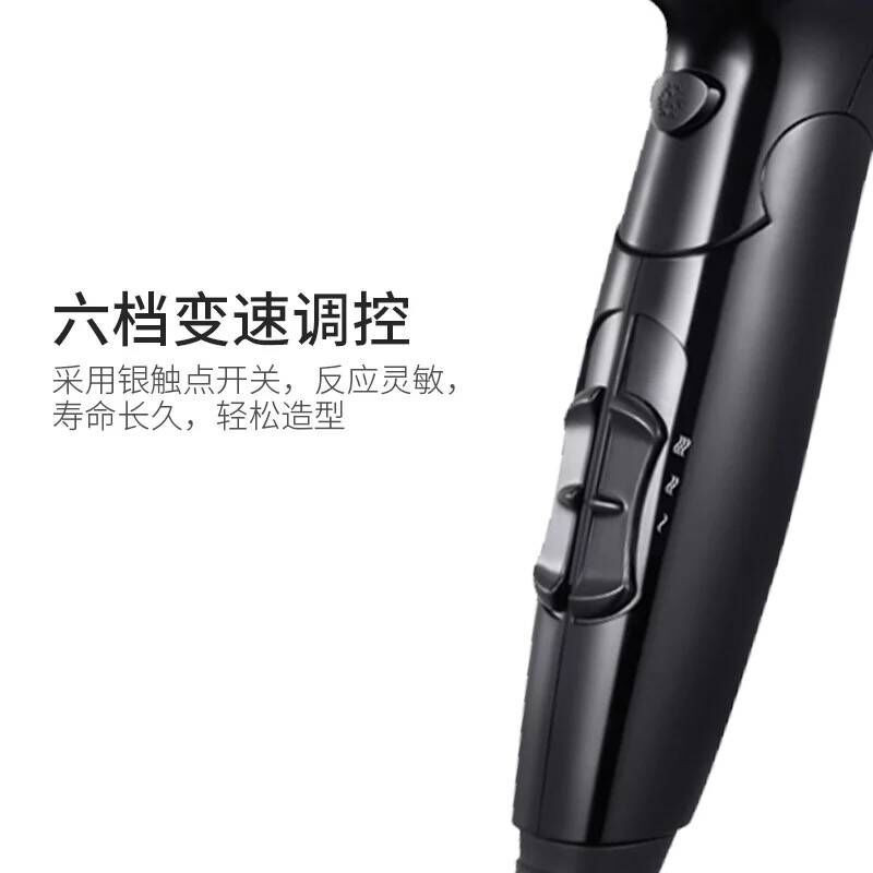 飞科(FLYCO) FH6231电吹风