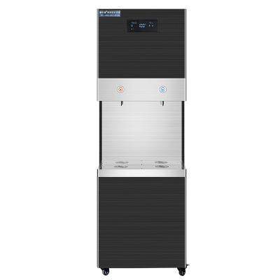 滨生源商用步进式开水器30升水箱BSY-RO400BK（台)