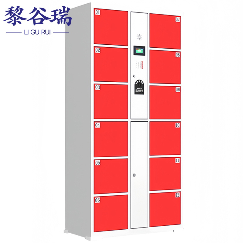 黎谷瑞智能寄存柜 电子存包柜12门指纹台