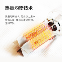 飞科 （FLYCO）FH6218大功率电吹风机2000W负离子护发