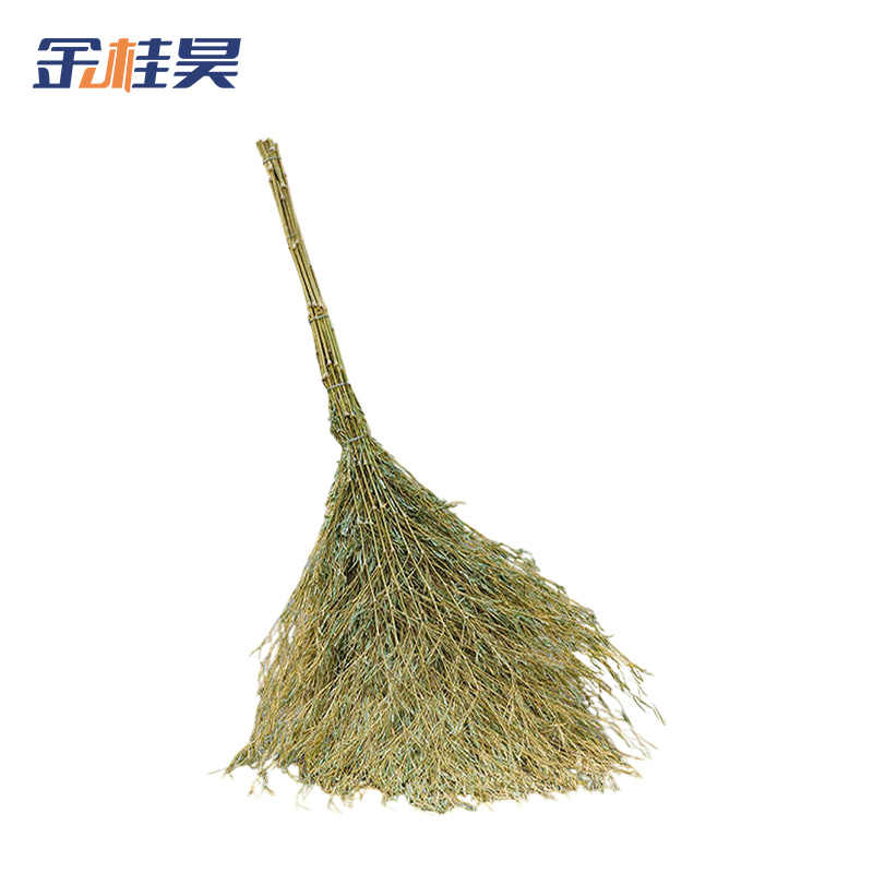 金桂昊 大扫把 一体带叶5斤重 把高清大图