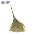 金桂昊 大扫把 一体带叶5斤重 把