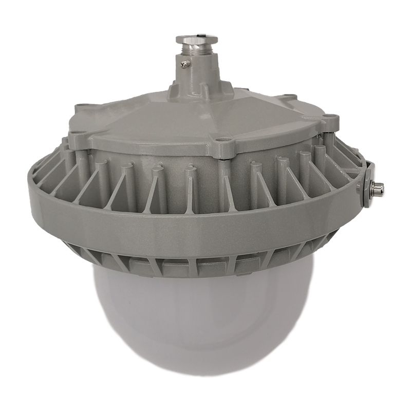 立华王(LihuaKing)LH6100C-B 50W IP66 5700K LED强光工作灯