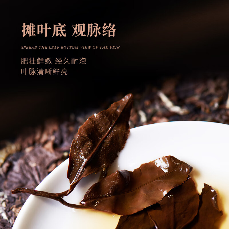 白大师白茶茶叶2015年枣香寿眉福鼎老白茶茶饼300g高清大图