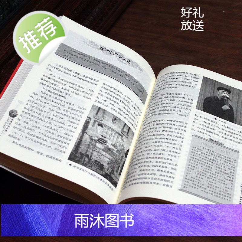 茶文化十二讲 从零开始学泡茶品茶师文化 茶道从喝茶到懂茶茶叶百科茶文化大全知识入门茶艺茶道茶经类书籍识茶泡茶品茶高清大图