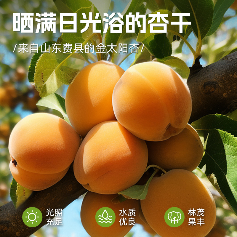 华味亨阳光金杏干250g*2盒装杏脯无核干杏水果干果脯蜜饯零食