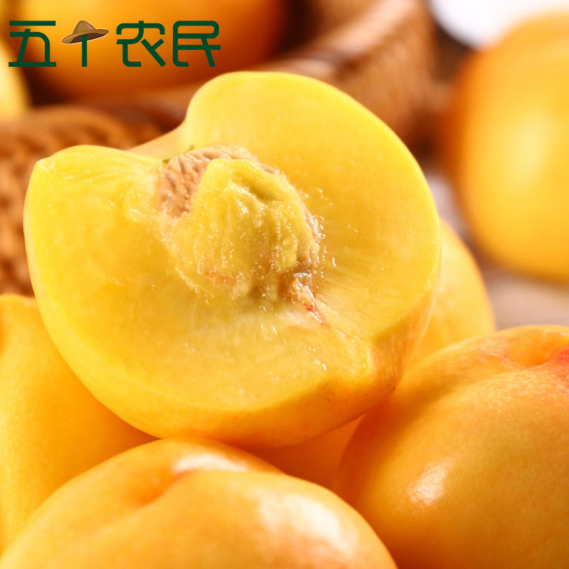 [五个农民]山东蒙阴黄金油桃 脆甜黄油桃4.5-5斤装应季新鲜水果桃子