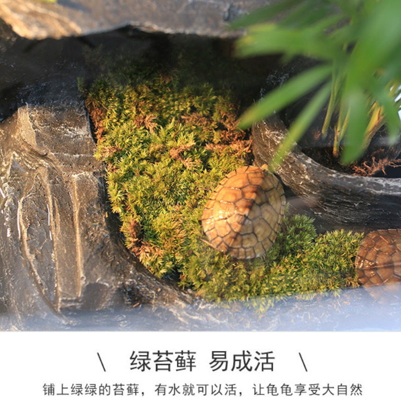 乌龟晒台爬台大号水龟缸造景浮岛爬坡巴西龟晒背台躲避洞穴晒龟台高清大图
