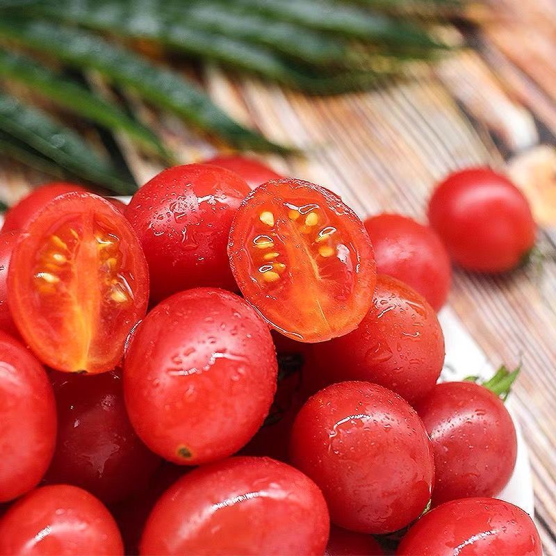 赛卡伊小番茄新鲜圣女果水果酸甜小西红柿非千禧蔬菜整箱批发