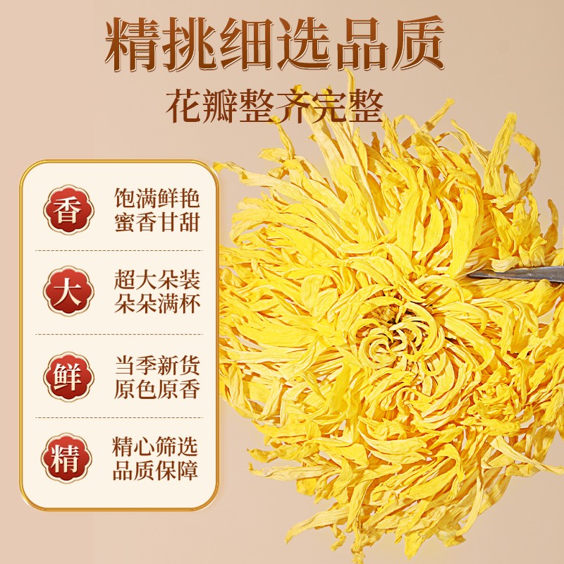 [买1送1 同款]北京同仁堂菊花茶金丝皇菊12g/瓶黄菊一朵一杯贡菊大下火花草茶叶高清大图