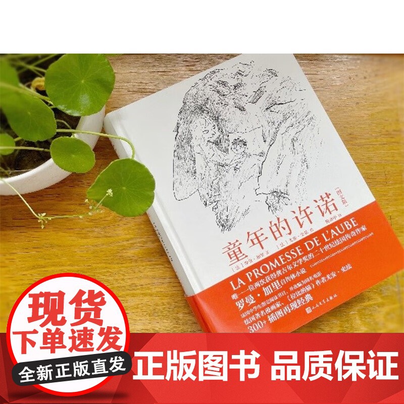 童年的许诺 图文版 罗曼·加里 著 小说高清大图