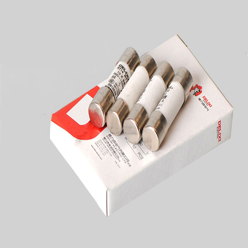 德力西2A保险管10只装