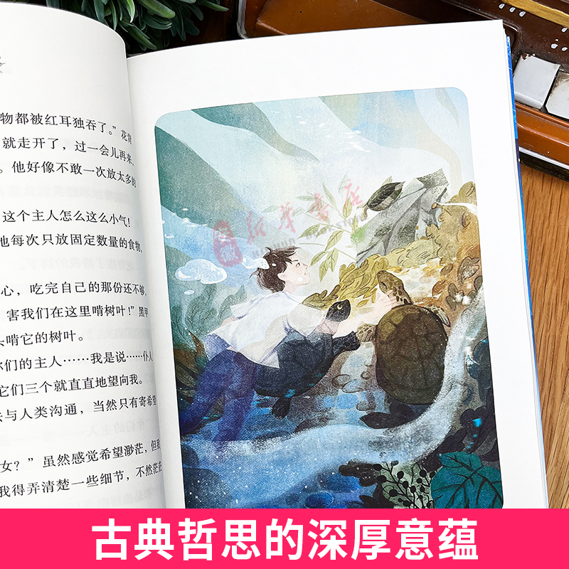 龟说 [正版]2024暑假读一本好书龟说 新月著儿 童文学8-14岁岁小学生三四五六年级课外阅读书籍故事书学校热售书高清大图