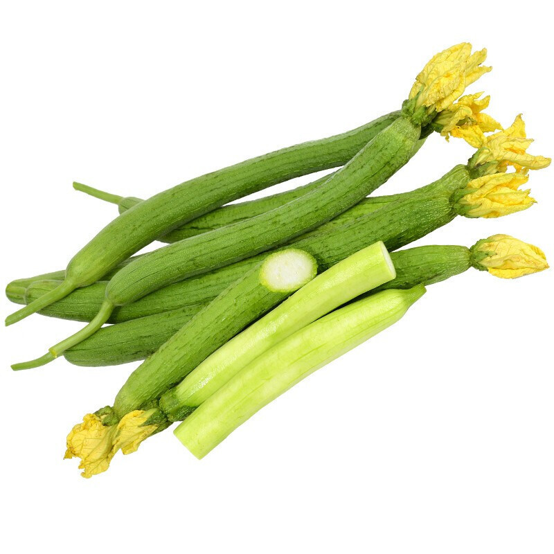 丝瓜鲜嫩绿丝瓜新鲜蔬菜现摘嫩丝瓜山东蔬菜可开发票15kg