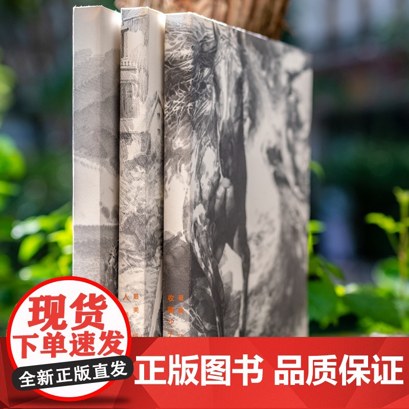 最美经典李晨读者函套本:看透文字背后的风景 当经典美文遇见最美插图 上海人民美术出版社高清大图