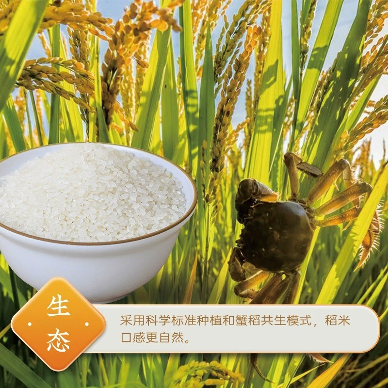 隆平芯米 东北大米 圆粒香米珍珠米 东北蟹田碱地大米 真空包装 5kg(单位:袋)高清大图