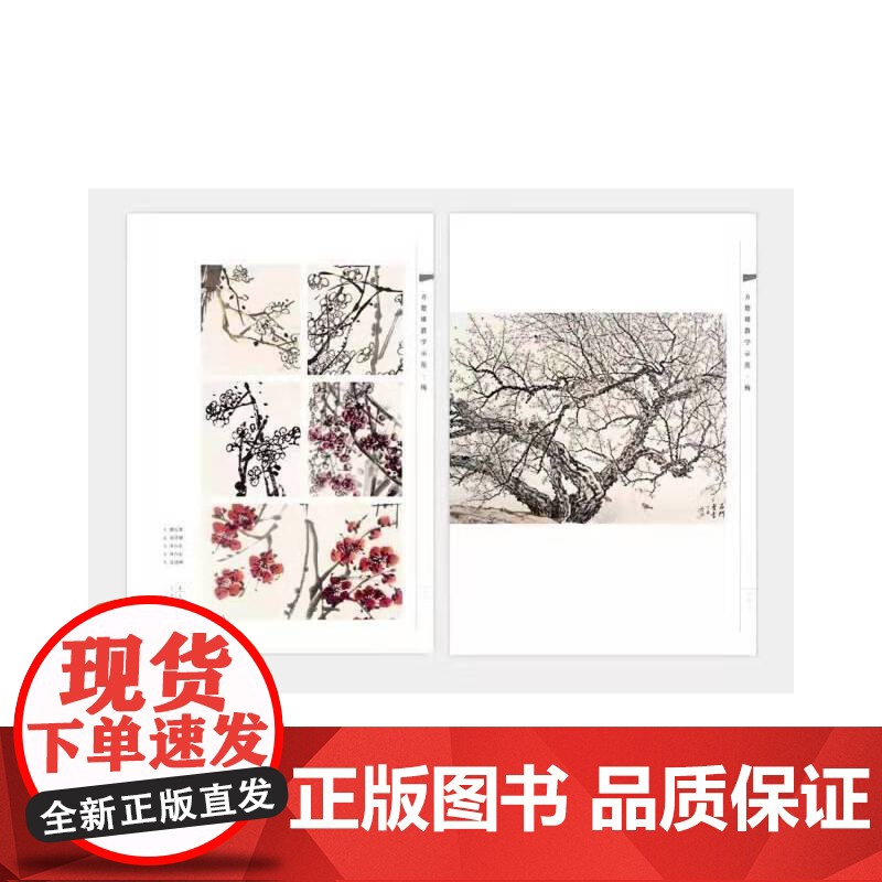 方楚雄教学示范.梅高清大图