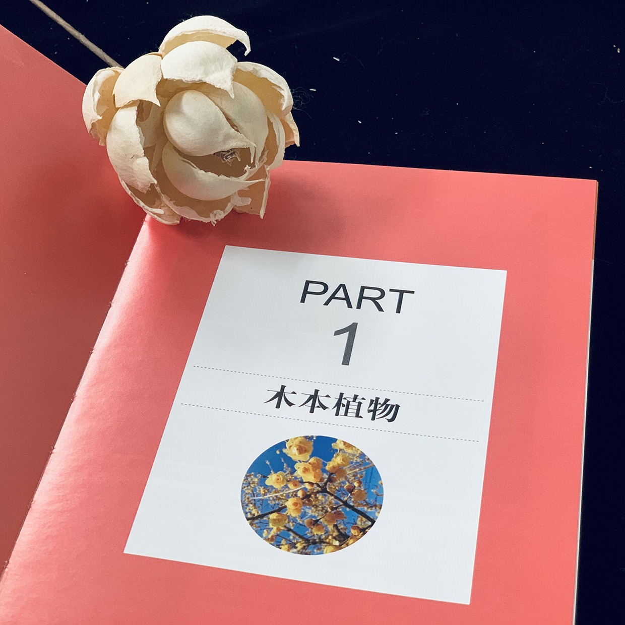 [醉染正版]300种芳香植物识别图鉴 彩色典藏版 陆琳曹桦李涵主编特征栽培要点应用花卉图鉴木本植物养花养花大全养花技术书高清大图