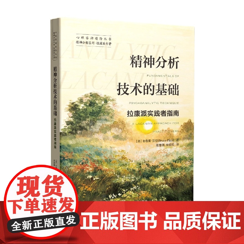 精神分析技术的基础:拉康派实践者指南 布鲁斯•芬克著 精神分析实践核心的各种主题 精神状态研究 心理健康书籍