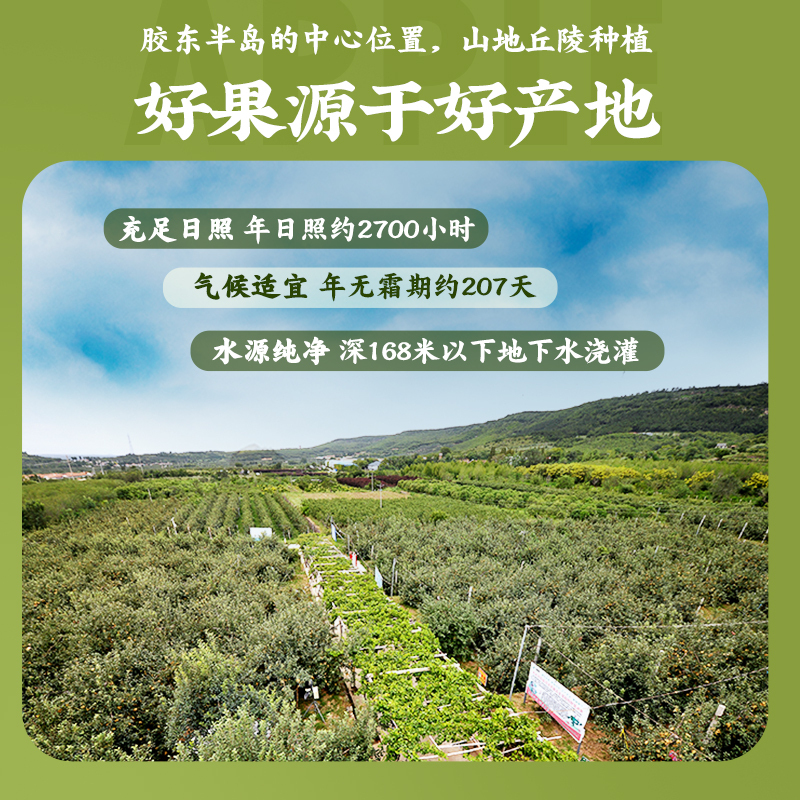 苏鲜生[苏宁自主品牌]烟台栖霞红富士苹果礼盒装 10斤带箱(80-85mm)