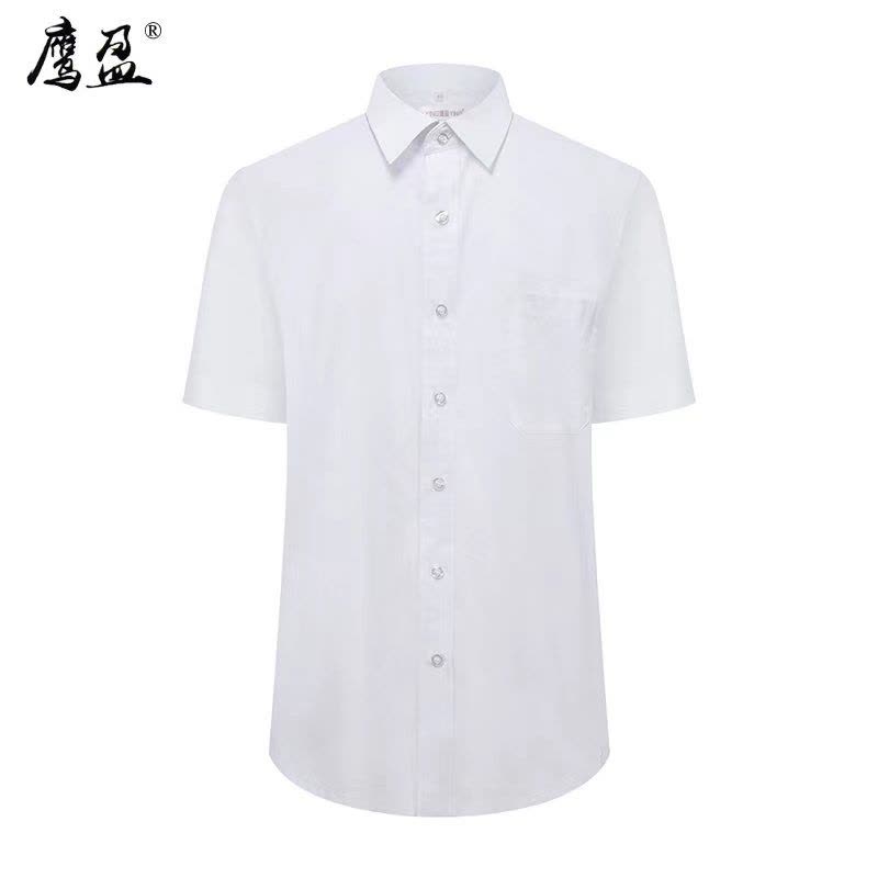 鹰盈 衬衣短袖套装 YY0296 套图片