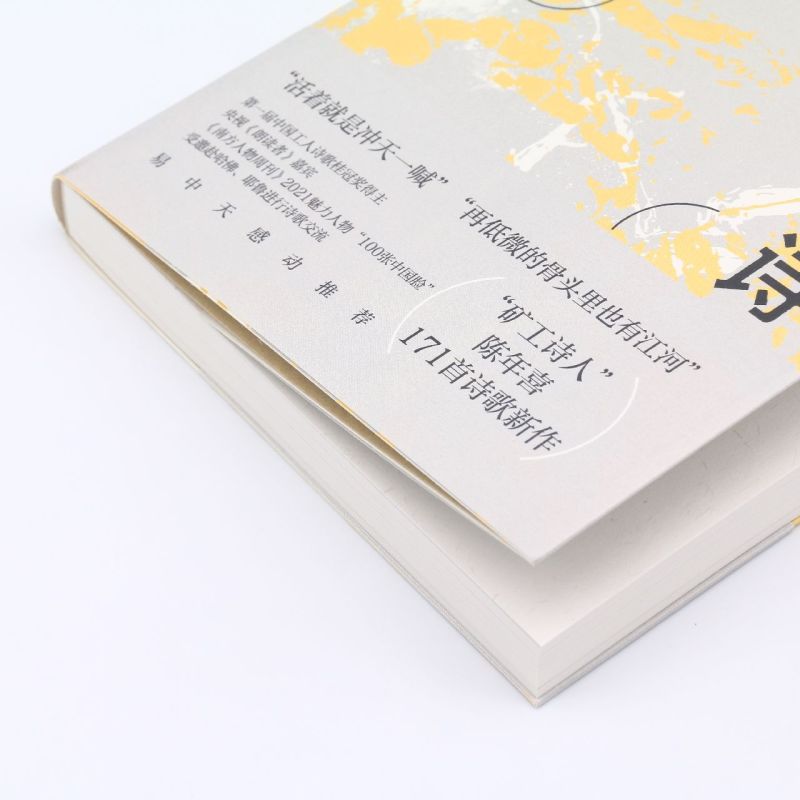 [正版]书店陈年喜的诗 陈年喜著 中国文学-诗词曲赋江苏文艺出版社大众高清大图
