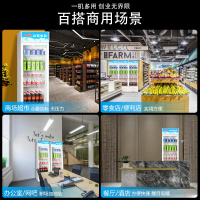 Baixue/白雪冷柜SC-226F 226升立式冰柜 展示柜 冷藏柜 饮料柜 保鲜柜 [啤酒柜 陈列柜