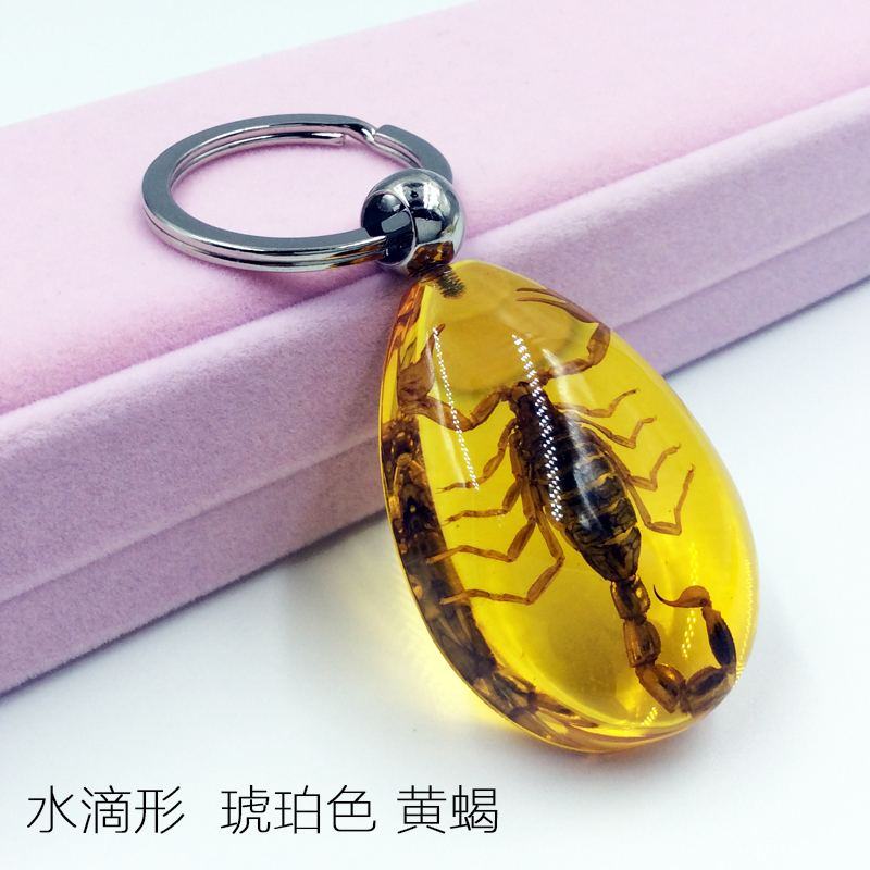 Hazy Beauty装饰用品 礼品其他昆虫标本人工琥珀汽车钥匙扣钥匙挂件个性创意挂饰不锈钢男腰挂 价格图片品牌报价 苏宁易购能兴服饰箱包专营店
