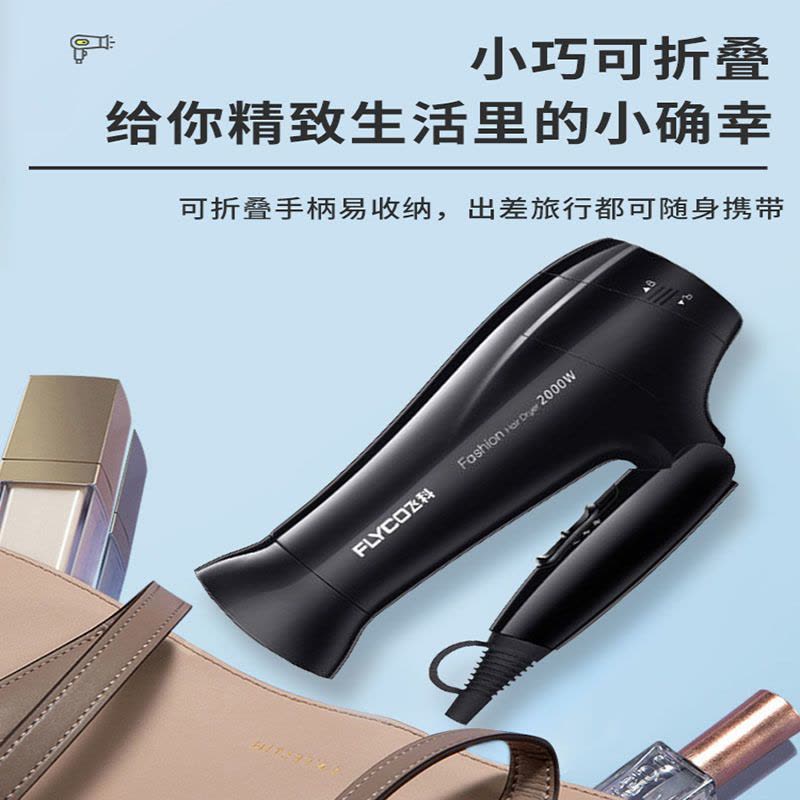 飞科(FLYCO)吹风机恒温护发 冷热调节 过热保护 家用电吹风大功率学生宿舍吹风机冷热风恒温吹风筒 黑色FH6231图片