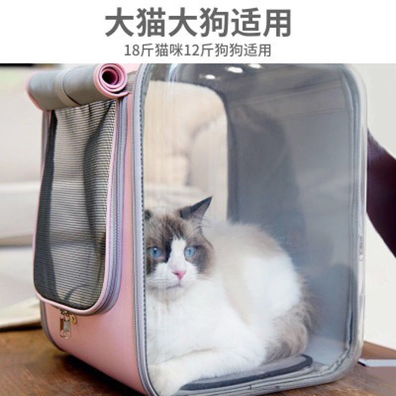 可折叠大空间宠物背包外出便携猫包帆布通风透气透明狗包双肩包 玛瑙灰