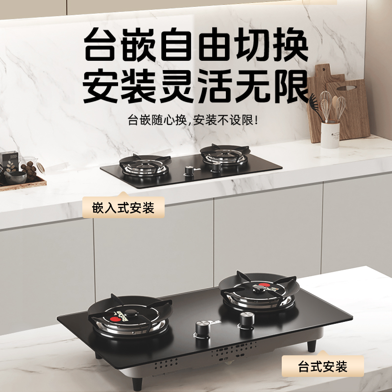 红日(RedSun)家用台嵌两用熄火保护 固定定时 1200℃猛火燃气红外线灶 节能省气灶EX26B天然气高清大图