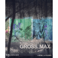 国际新锐景观事务所作品集:GrossMax(景观与建筑设计系列)