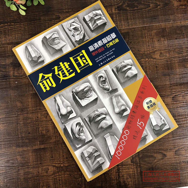 [醉染正版]俞建国高清素描临摹单片组合素描五官 素描临本赠素描纸 大开单片15幅高清放大素描石膏五官临摹素描头像素描绘画高清大图
