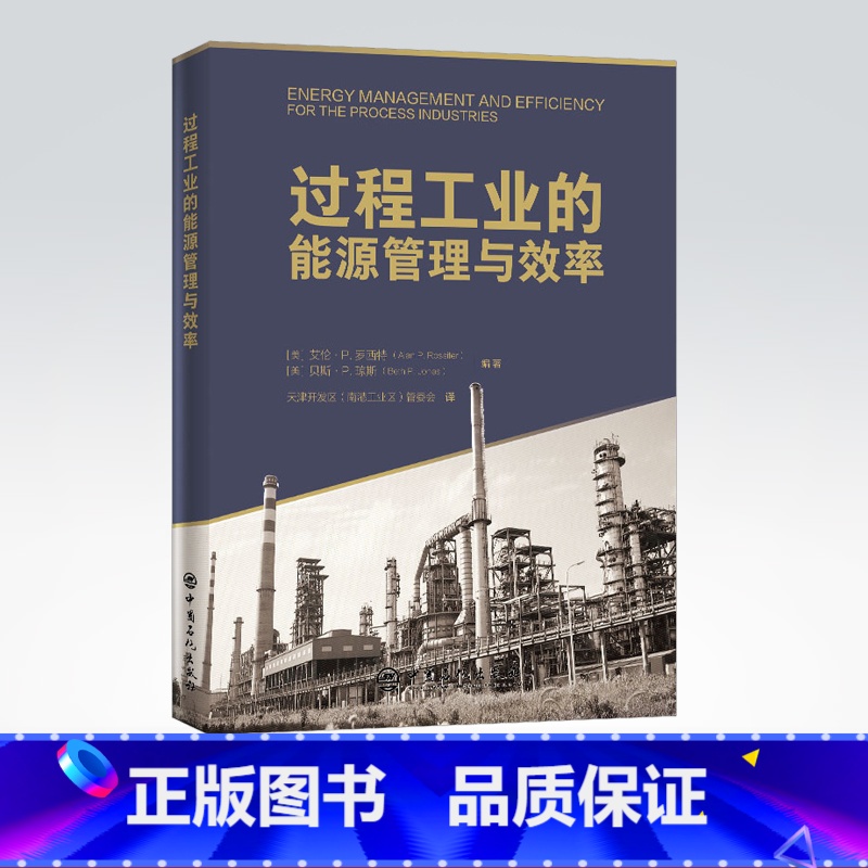 【正版】过程工业的能源管理与效率 石油化工过程工业能耗基准能源管理标准工业能效技术加热炉锅炉能效换热器工程热力学