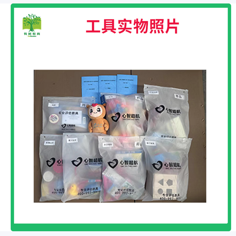 有树 YSXL-SXPL01 双溪个别化教育评量减压 工具箱专业早教教具高清大图