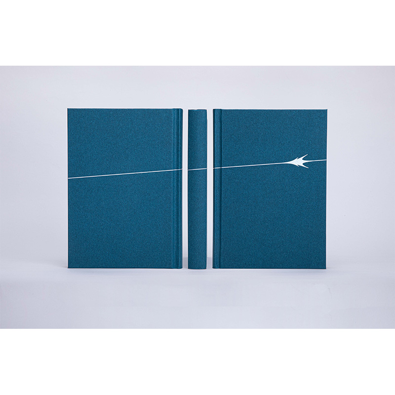 [正版] 游隼 J. A. 贝克 达夫·库珀奖 关于一个人渴望成为人以外的存在兼具纪录片的和散文诗的优美外国自然文学高清大图