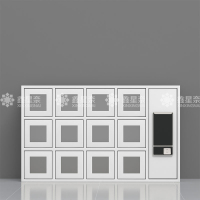 鑫星奈XXN4031502 智能手机柜存放柜手机设备寄存柜 12门