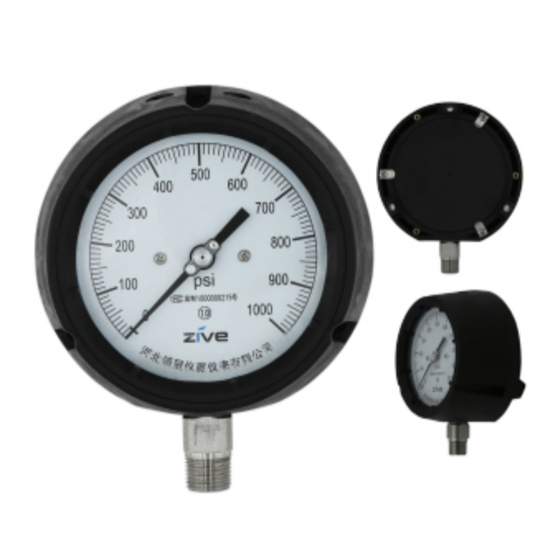 ZIVE 安全压力表ZIVE-1306464高清大图