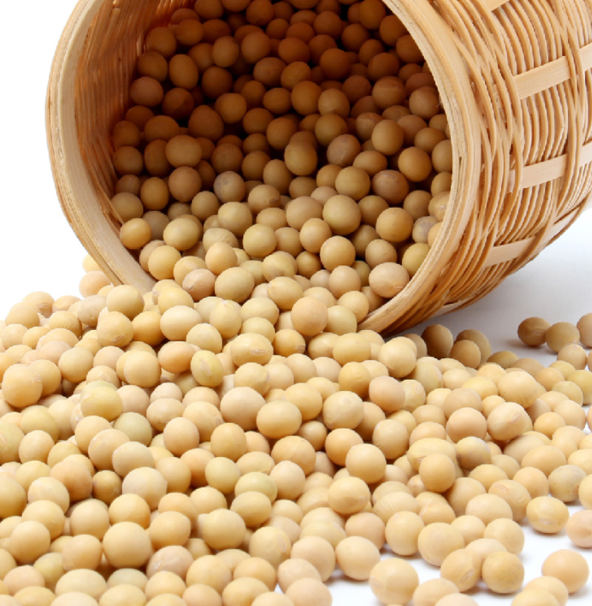 艾谷有机大豆1.9kg 大罐装 可打豆浆高清大图