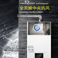 樱花 SAKURA 燃气热水器天然气三档变升节能防冻家用智能恒温高层抗强风入户 大水量-16升 天然气