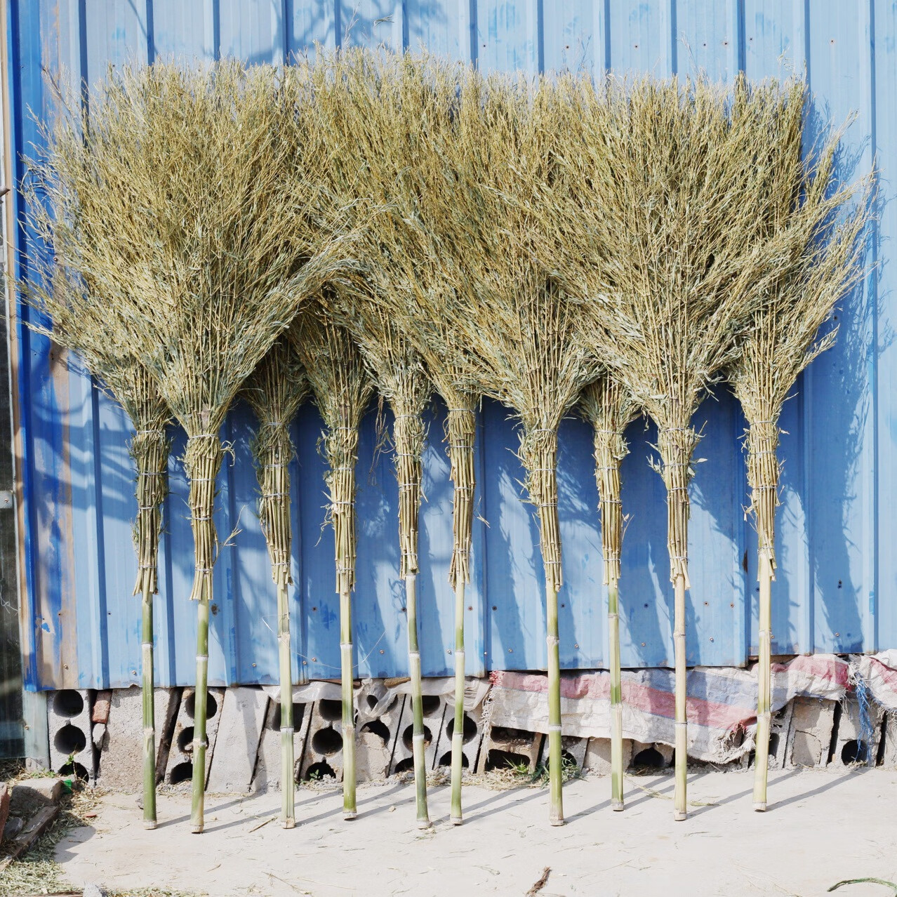 谋福 老式扫帚 户外笤帚小扫把[1.5米黑皮(老枝)无叶]*/个高清大图