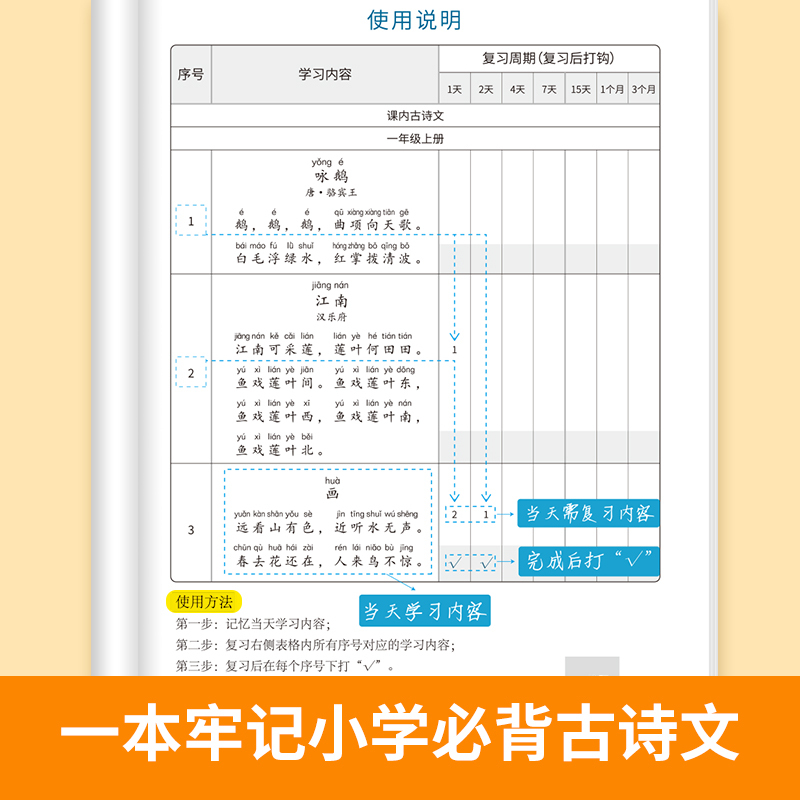 [小学+初中/共4本]古诗词打卡计划本+默写本 小学升初中 [正版]易蓓小学必背古诗词背诵打卡计划本复习计划本艾宾浩斯记
