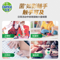 (Dettol) 滴露洗手液 健康抑菌经典松木 500g