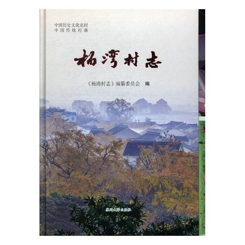 [醉染正版]杨湾村志 杨维忠 地方史志 书籍高清大图