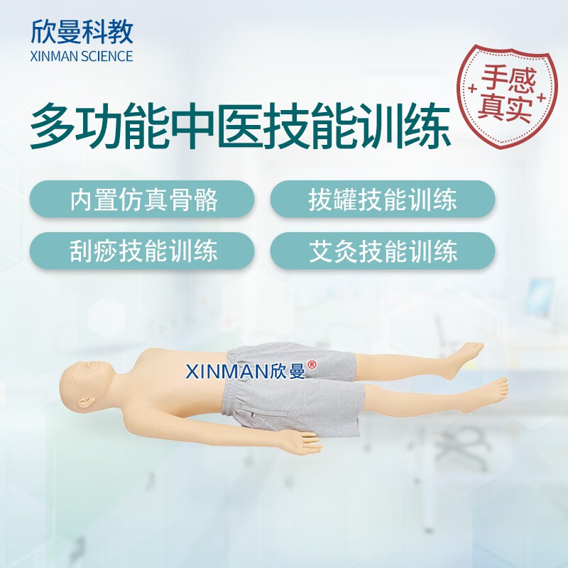 欣曼科教 多功能中医技能训练及考核模型(常用腧穴的定位和操作)XM-BGDS