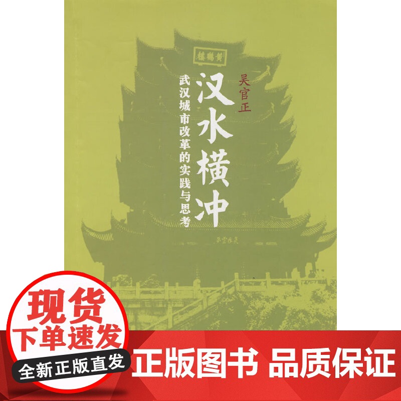 汉水横冲:武汉城市改革的实践与思考高清大图