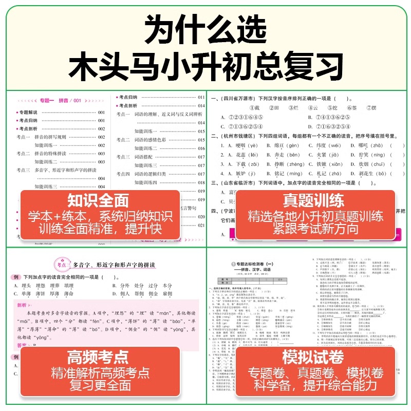 [2025新版]小升初总复习 语数英.3本 小学升初中 [正版]2025小升初名师帮你总复习语文数学英语科学小学六年级小高清大图
