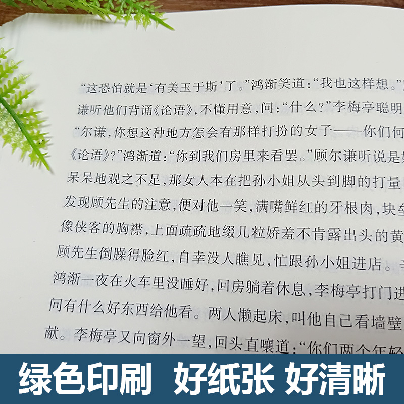 全6册 九年级下阅读课外书籍儒林外史和简爱 格列佛游记我是猫契诃夫短篇小说选围城正版原著初中生白话文格列夫夏目漱高清大图